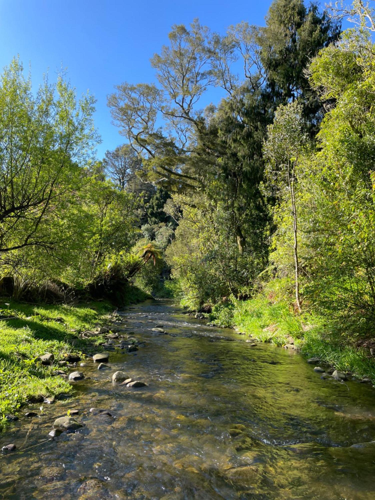 River Song Retreat Golden Bay Takaka Exterior foto